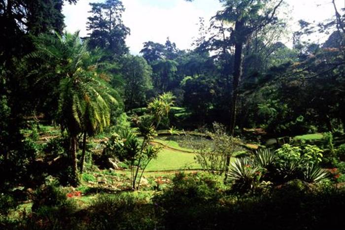 Hakgala Gardens (Rowan McOnegal)