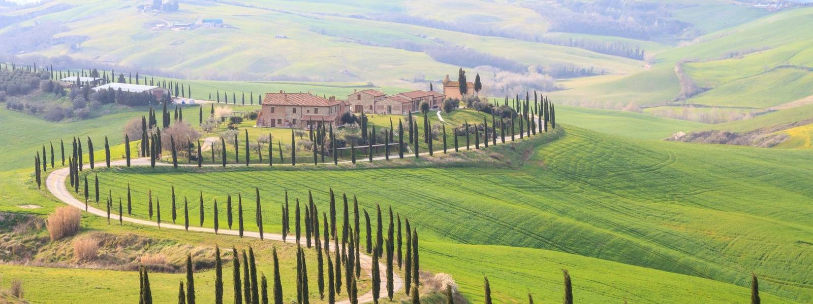 Italy - Tuscany - San Quirico - AdobeStock_113883354.jpeg