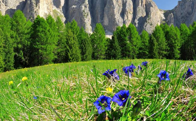 The Dolomites - Selva -  High Routes -& Hutting - AdobeStock_44329550.jpeg