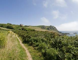 South Devon in Spring