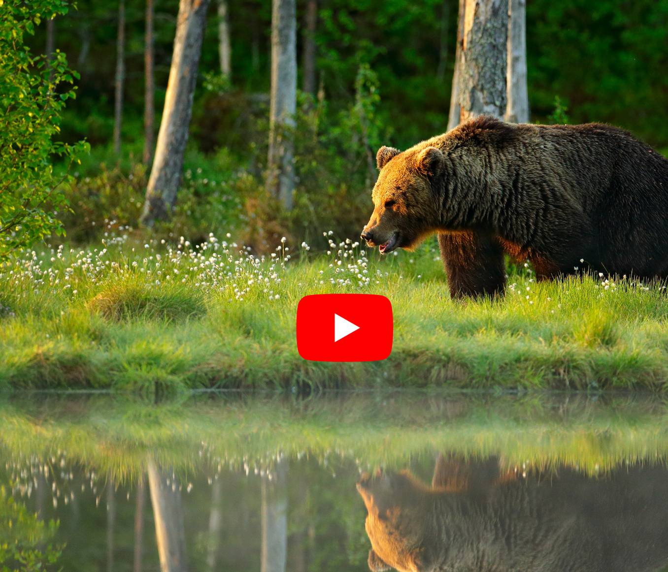 Group and Tailormade Wildlife Holidays