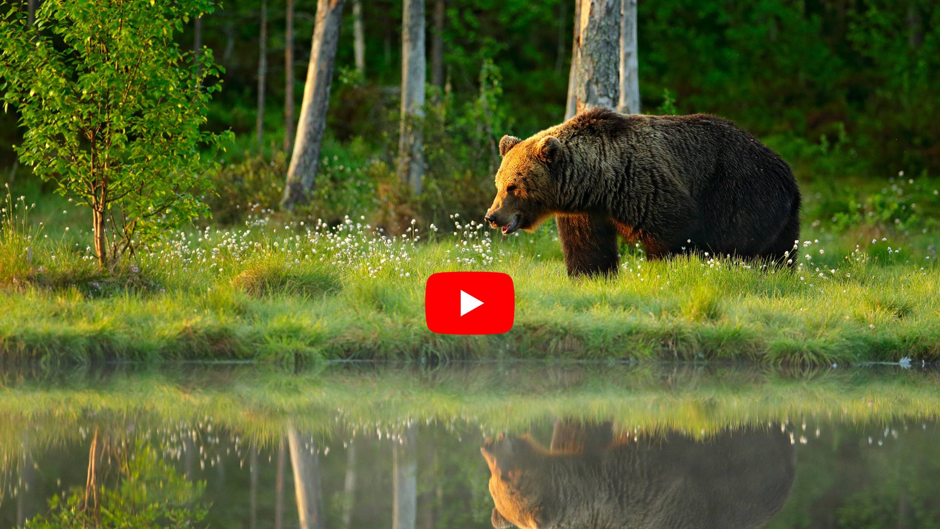 Group and Tailormade Wildlife Holidays