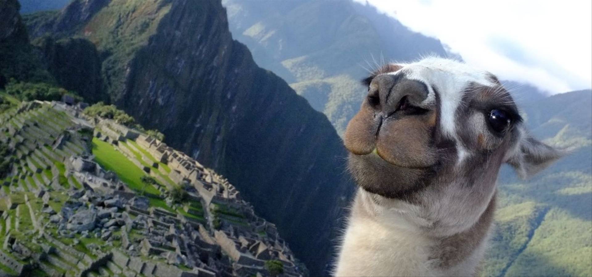 Llama Travel