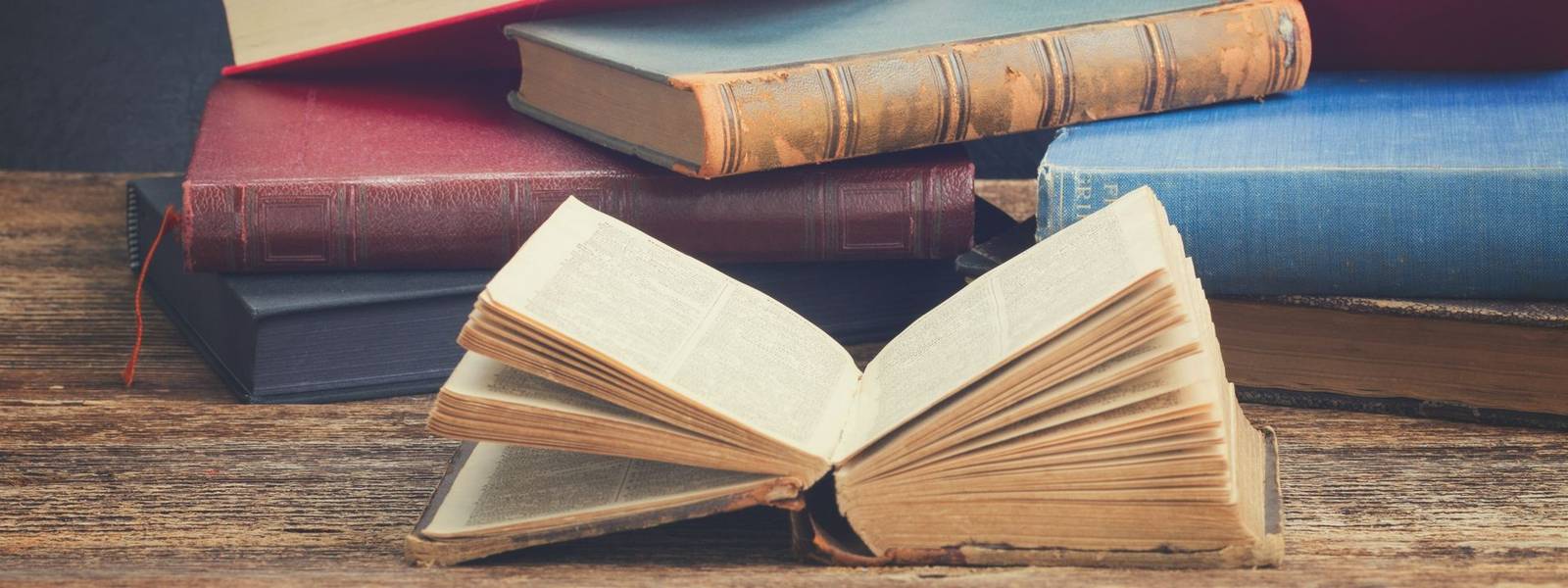 Literature Festival Holidays