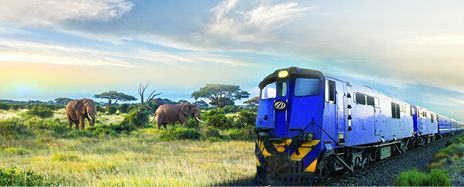 Luxury African Rail Journey & Victoria Falls Adventure