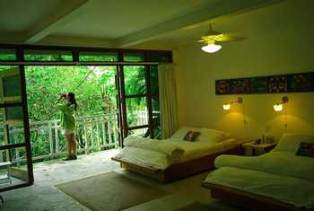 Canopy Lodge Room