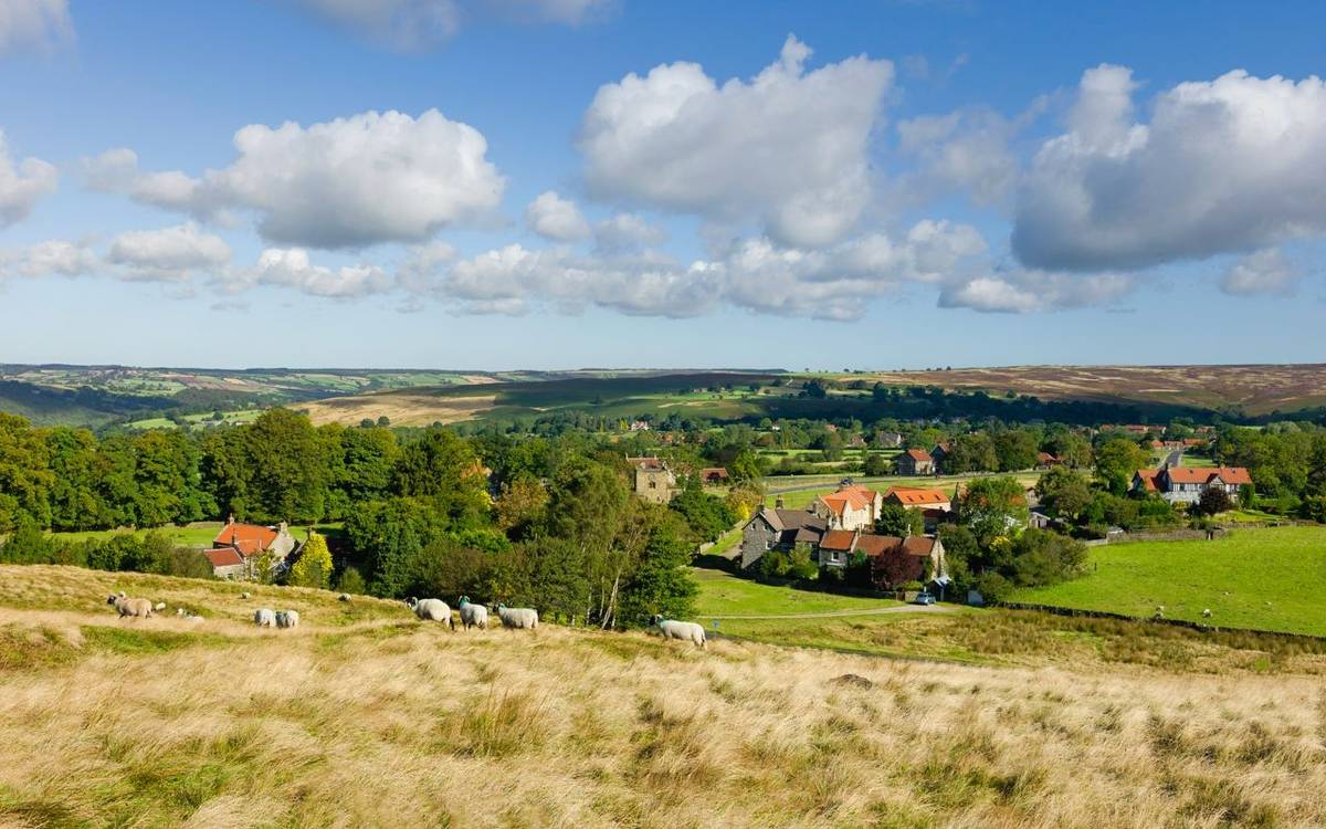 Traditional English village flanked by trees, tall grasses, and a few sheep grazing all under bright blue sky with fluffy cl…