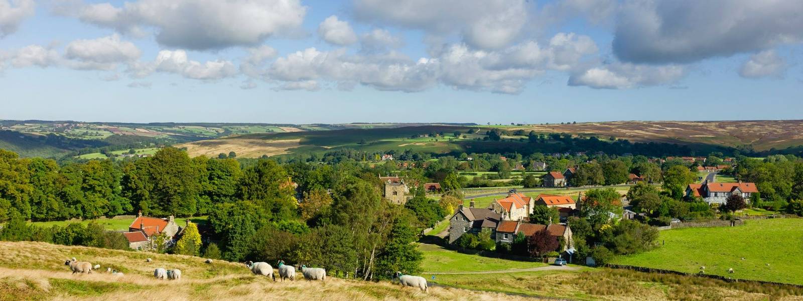 Traditional English village flanked by trees, tall grasses, and a few sheep grazing all under bright blue sky with fluffy cl…