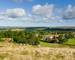 Traditional English village flanked by trees, tall grasses, and a few sheep grazing all under bright blue sky with fluffy cl…