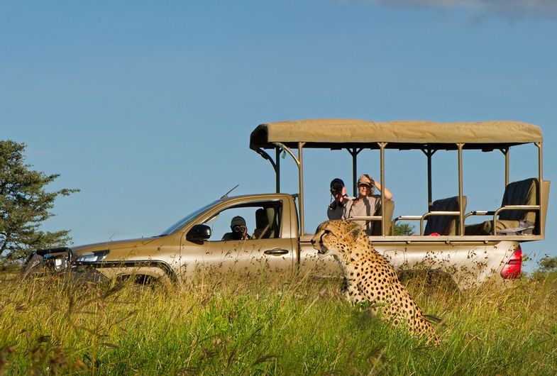African Travel Inc - Kenya - El Karama Lodge_Game drive.jpg