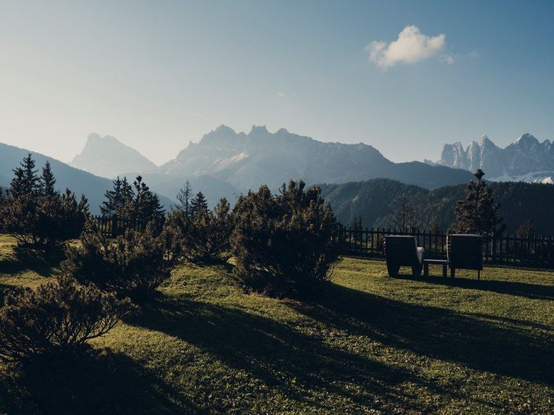 Forestis landscape.jpg