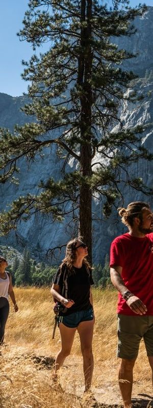 Walk Yosemite National Park Guided Tour