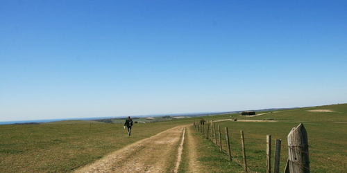 4-night South Downs Self-guided walking