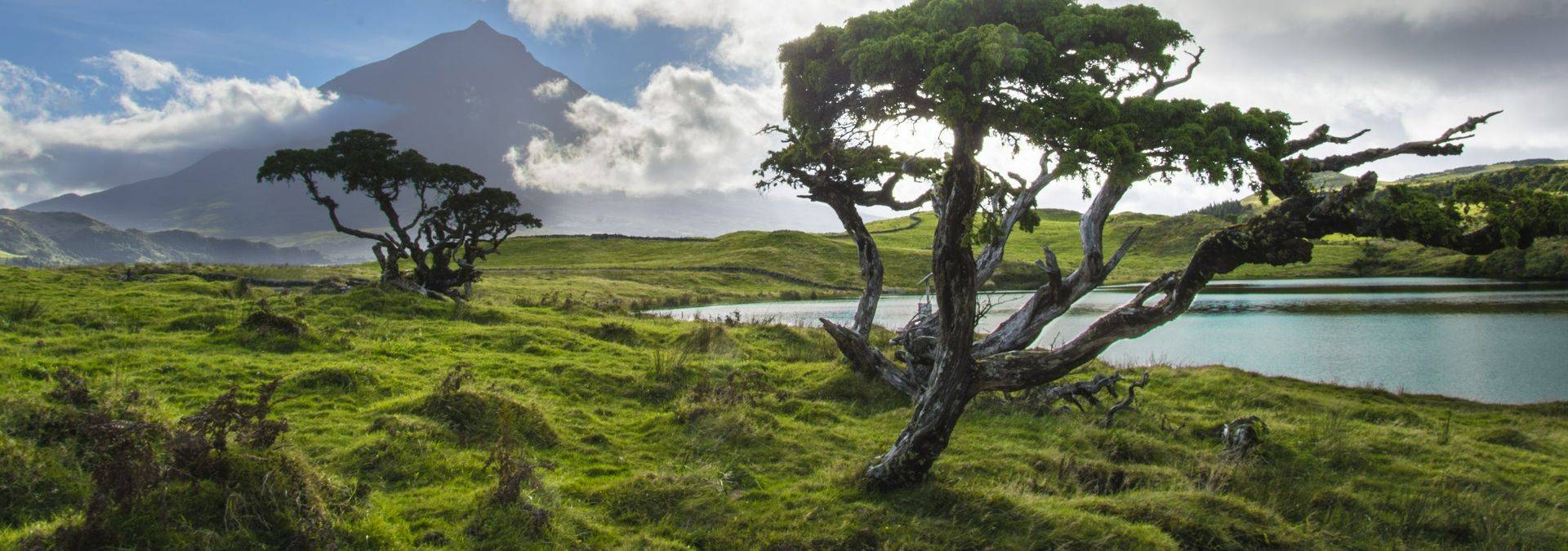 Pico Island, The Azores. Credit: Futurismo Azores Adventure