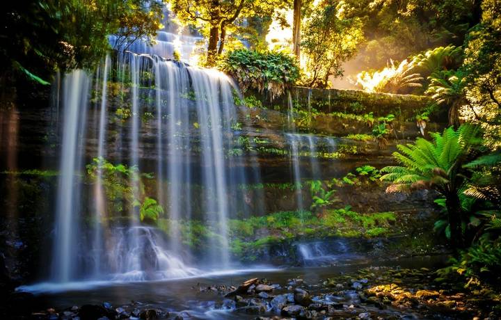 Russel Falls in Mt Field National Park with an evening light and nice waterfall. Russel Falls in Mt Field National Park with an evening light and nice waterfall.