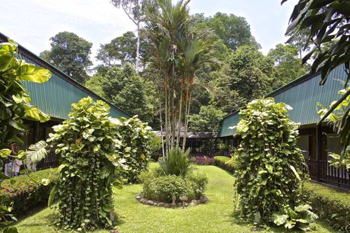 Sukau Rainforest Lodge Garden (Dani Free)