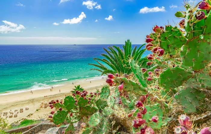 Fuerteventura