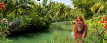 Brazilian Rhythms & Caribbean Charm