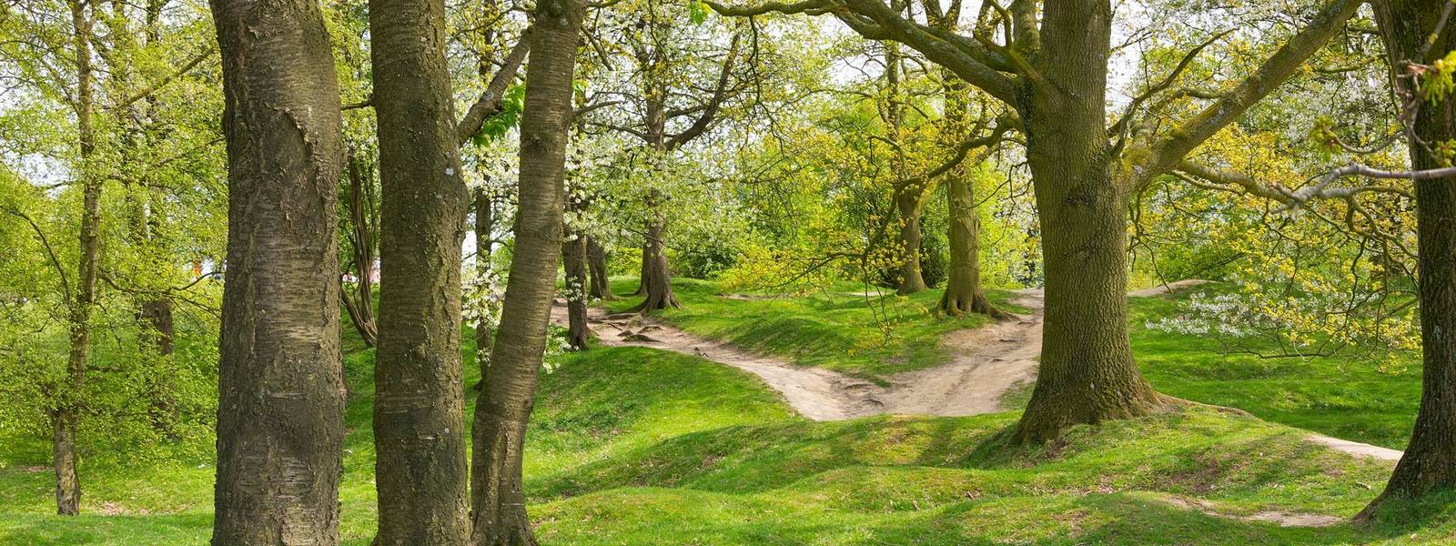 Hill 60 memorial near Ypres. A strategic high ground originally held by German forces and changed hands several times. The a…