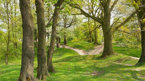 Walking the Ypres Salient