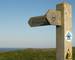Pembrokeshire Coast Path - Guided Trail - AdobeStock_163303018.jpeg