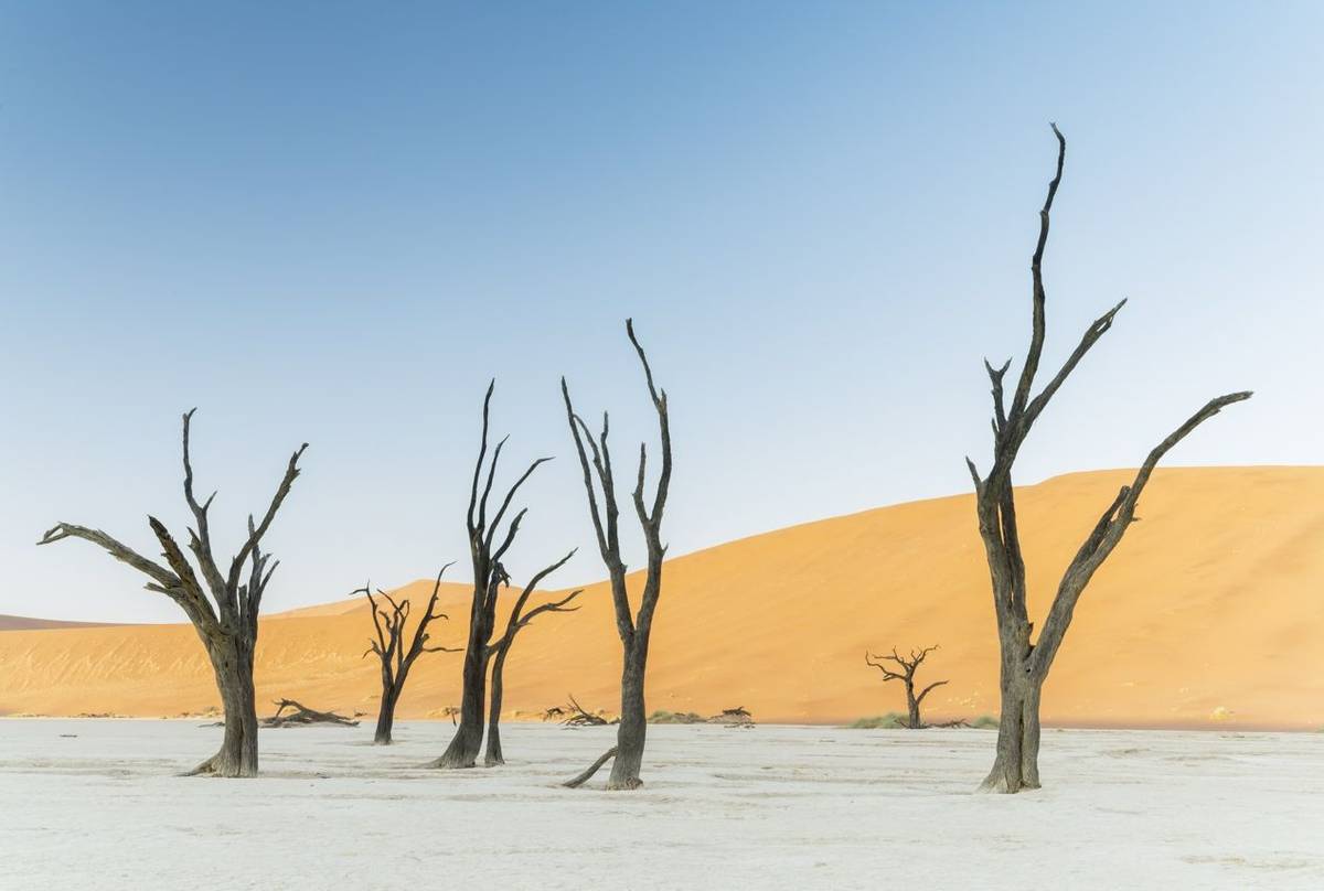 Deadvlei, Namibia by K Elsby.jpg