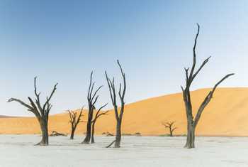 Deadvlei, Namibia by K Elsby.jpg