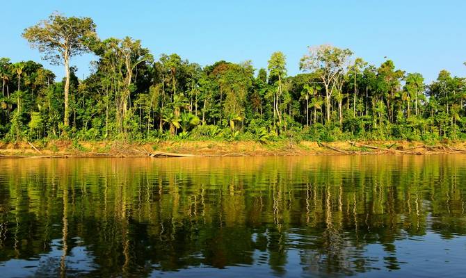 Manu River
