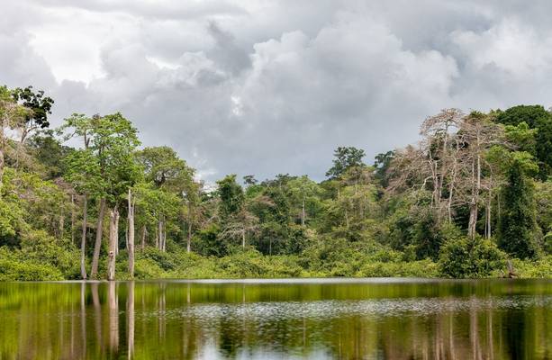 Gabon shutterstock_471054356.jpg