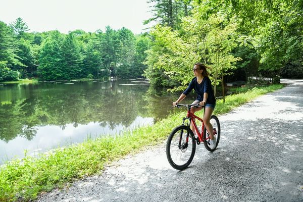 half-mile-farm-bikes.jpg