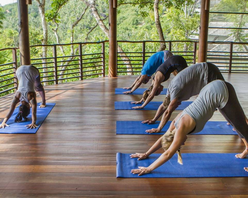 Yoga & Fitness