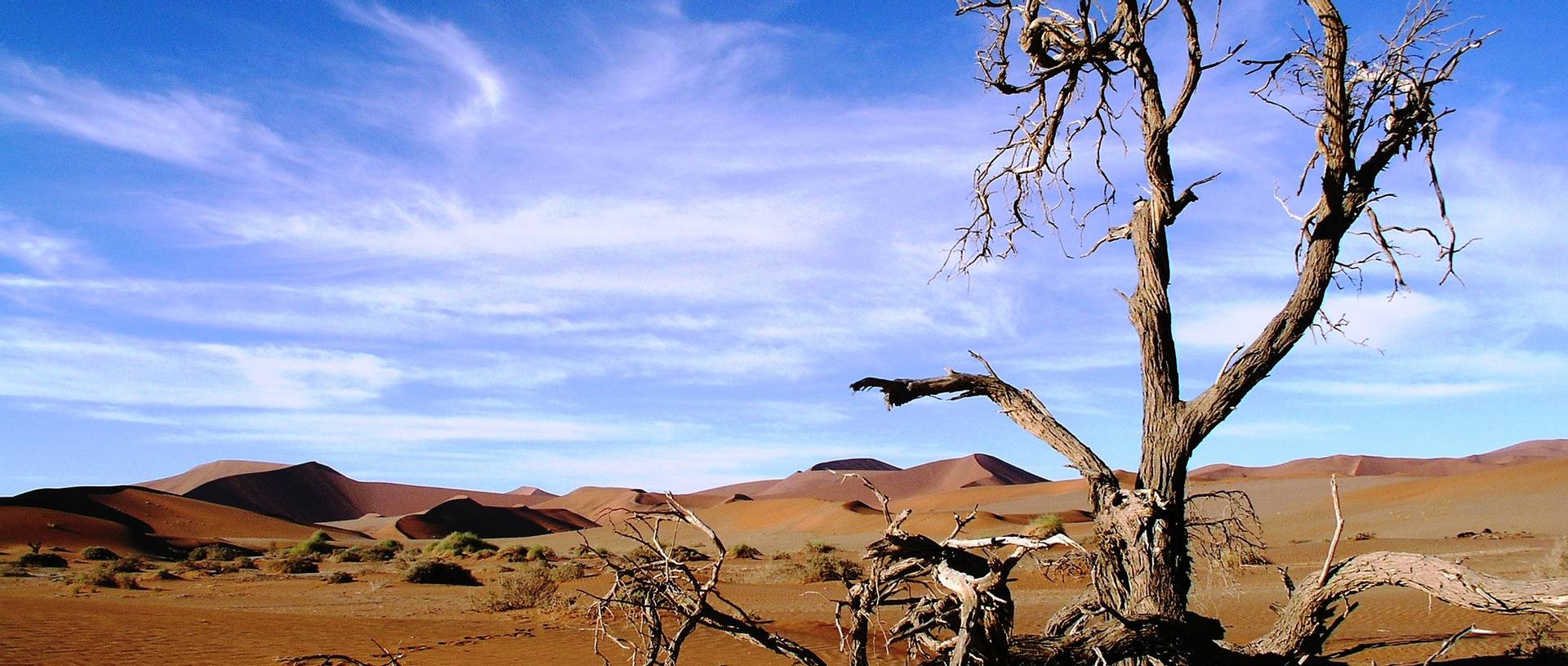 Namib Nauklaft National Park