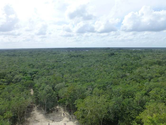 View from the top of Nohoch Mul, Coba (Kerrie Porteous)
