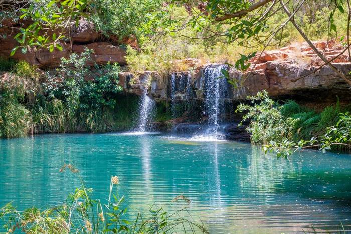 Fern Pool, Fortescue Falls, Dales Gorge, Karijini National Park, Western Australia shutterstock_1471990655.jpg
