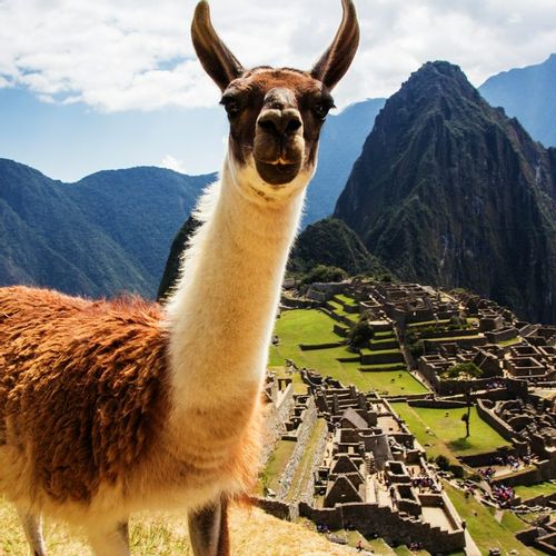 What vaccinations do you need for your trek to Machu Picchu?