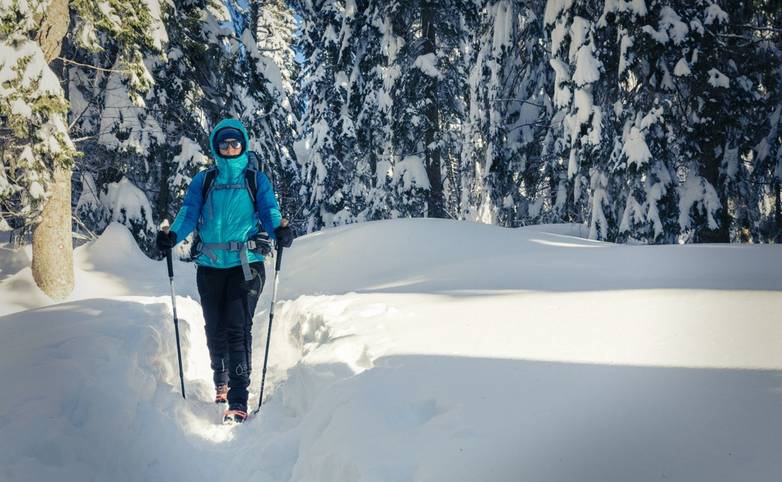 A Hiker trekking in winter woods. Adventure in snowy forest landscape. Walking through the snow.