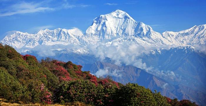 Nepal (Annapurna Range)