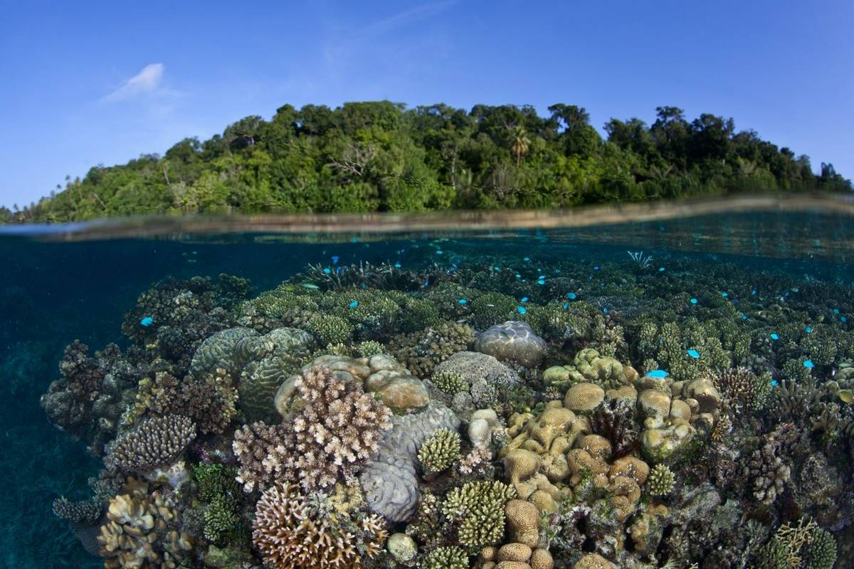 Marovo Lagoon, Solomon Islands Shutterstock 148852022