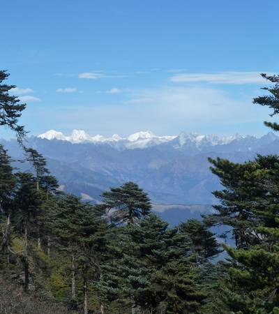 Kitiphu Ridge trek in Bhutan