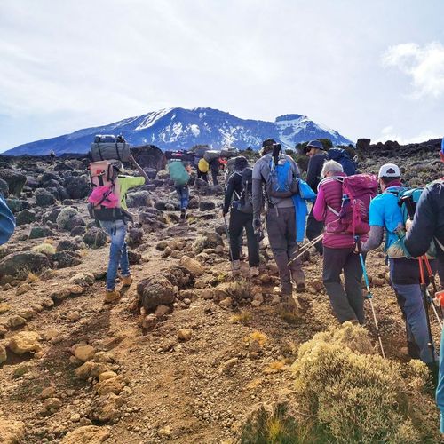 The Beginner's Guide to climbing Kilimanjaro