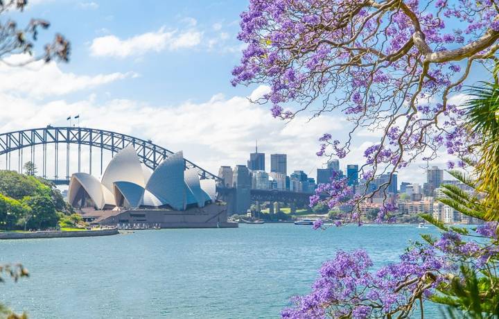 Sydney_shutterstock_747643003.jpg Sydney_shutterstock_747643003.jpg