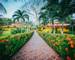 Papagayo Golden Palms Hotel Gardens(1).jpg