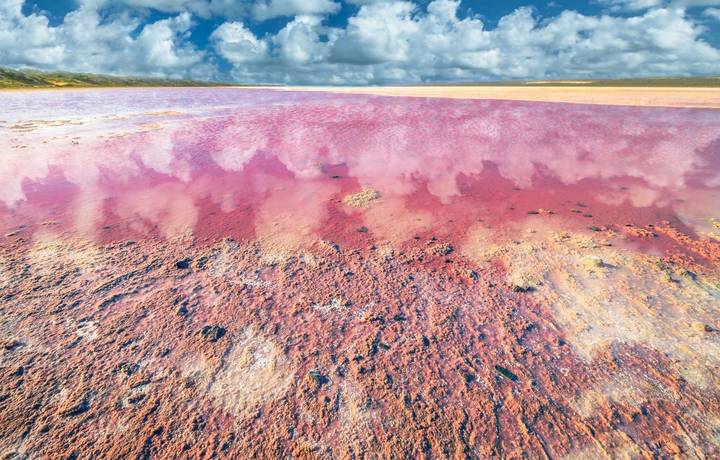 Picturesque shore Pink Salt Lake, Gregory in Western Australia. Blue sky with clouds reflects in Hutt Lagoon between Geraldt… Picturesque shore Pink Salt Lake, Gregory in Western Australia. Blue sky with clouds reflects in Hutt Lagoon between Geraldt…