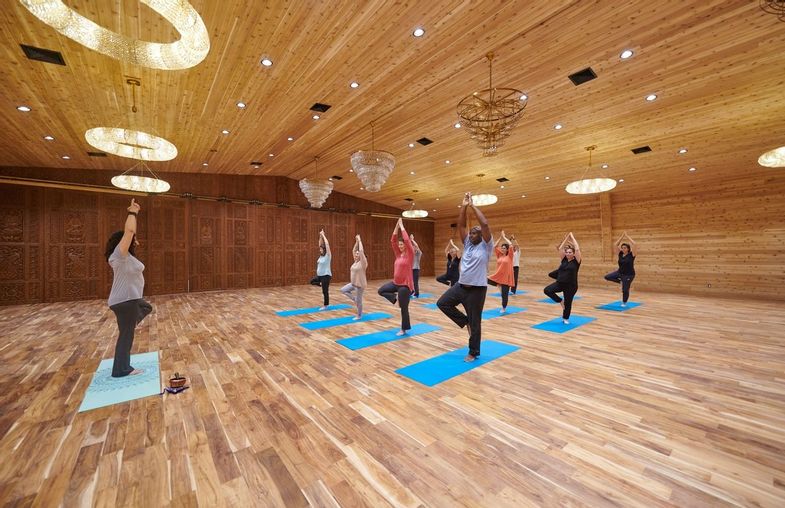 Eupepsia-wellness-resort-yoga-class.jpg