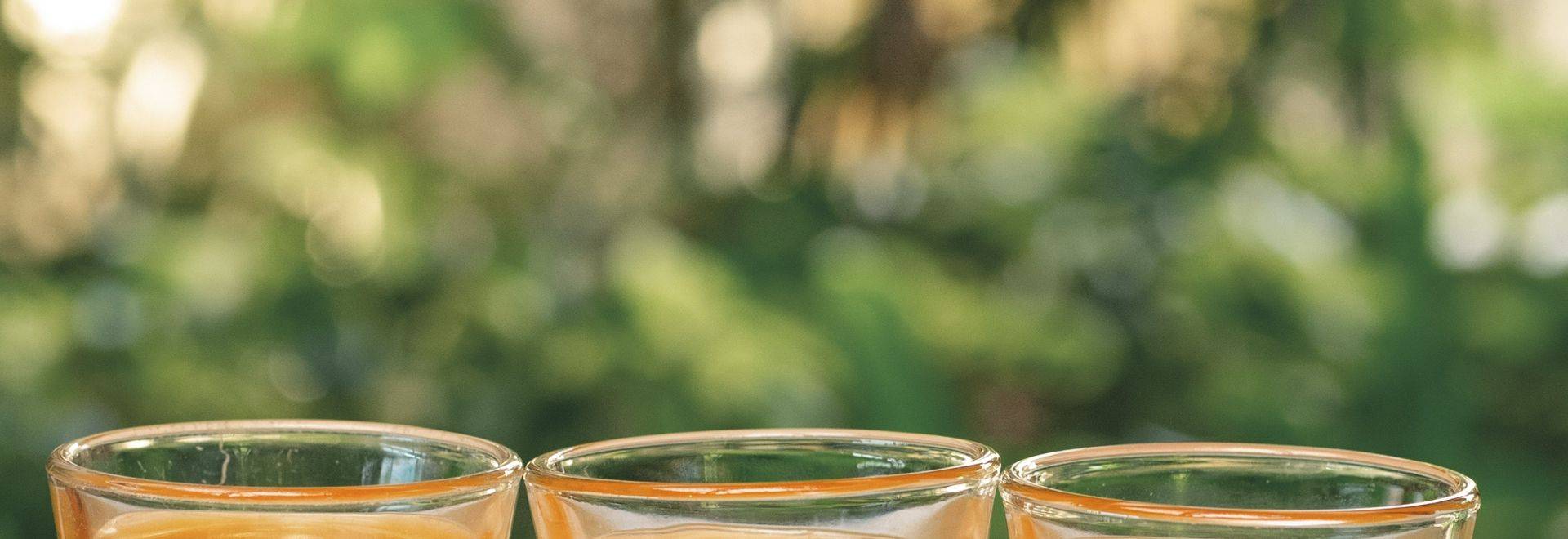Jamu Turmeric Elixir Shots.jpg