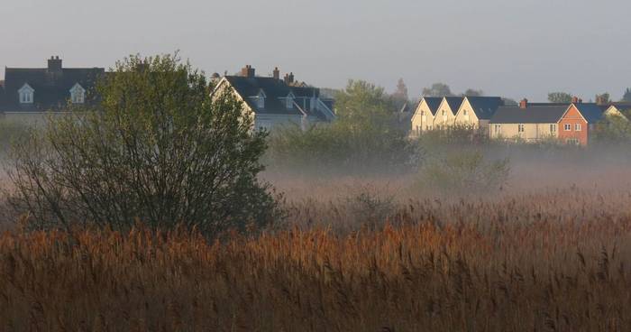 Ferry Marsh Local Nature Reserve.JPG