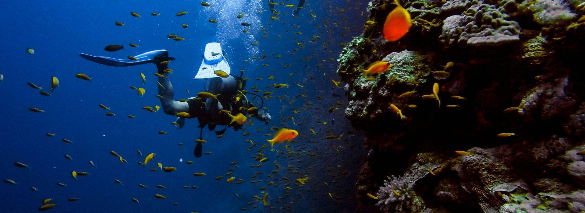 Diving Vacations
