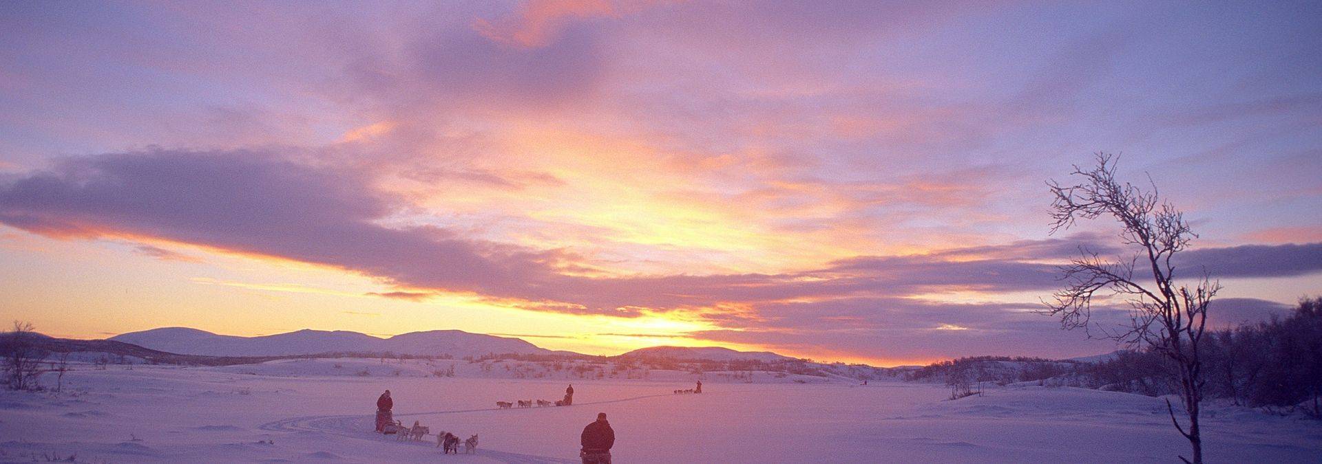 Huskygespanne in der Polarnacht, Norwegen Credit Björn Klauer & Nord Norge
