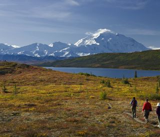 alaska-wildland-adventures-coast-to-denali-Hiking-Denali-National-Park.jpg