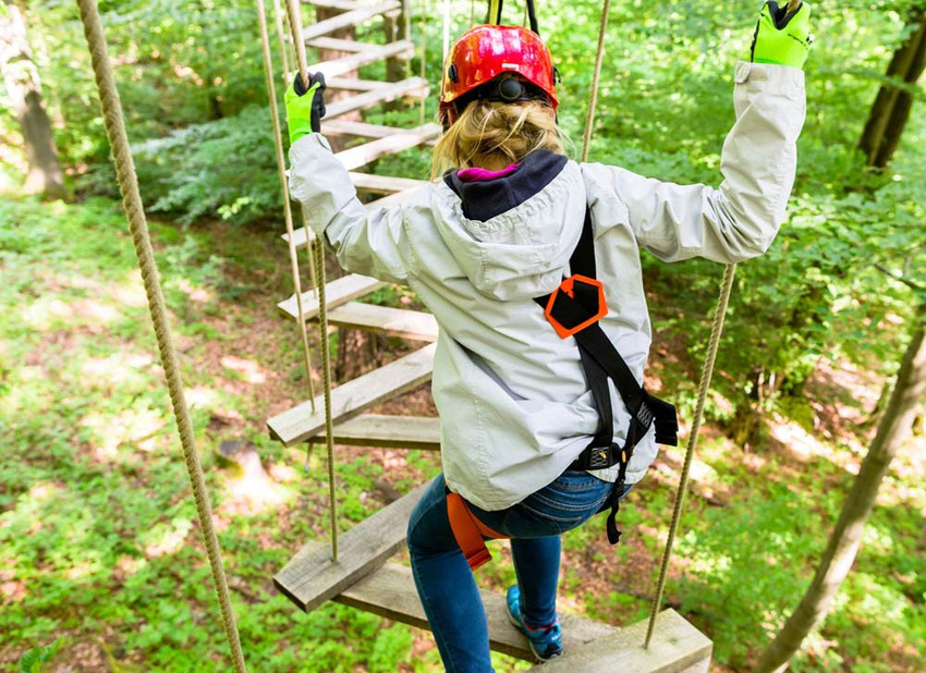 Amazing Local Attractions for All the Family